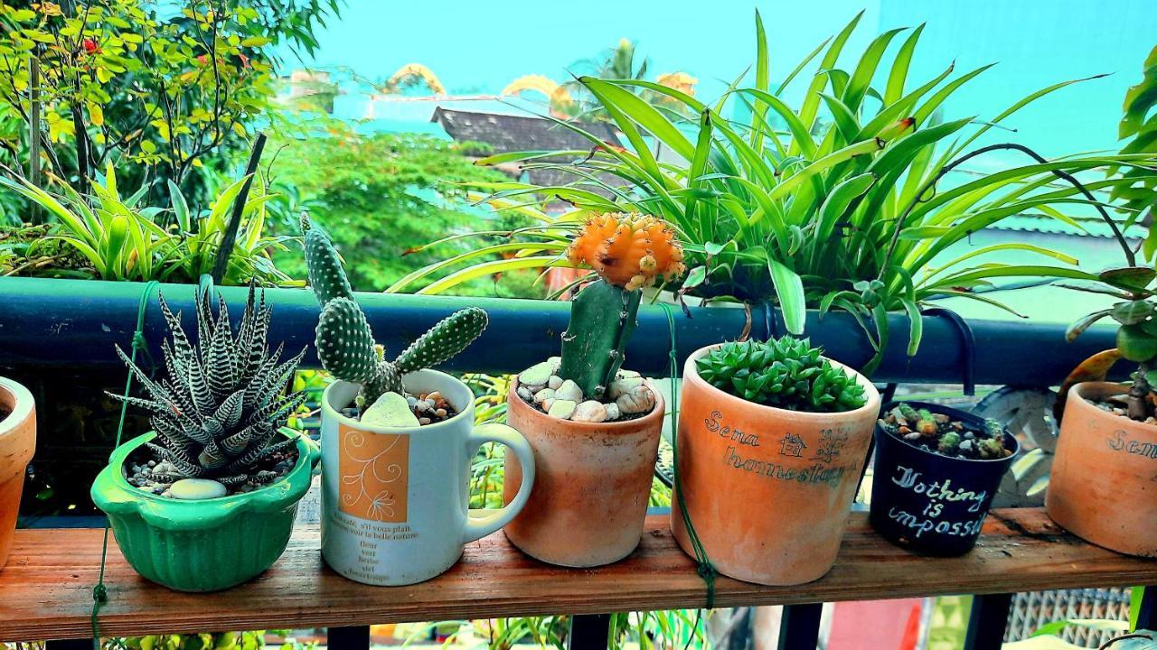 Sena Home 2Nd*Near Danang Han River*Dragon Bridge ภายนอก รูปภาพ